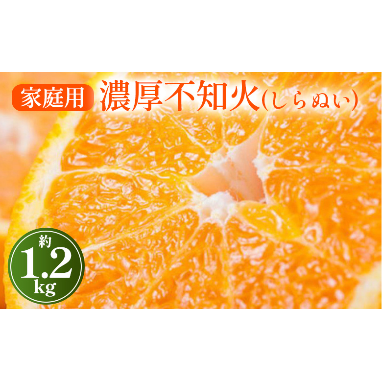 [先行予約][農家直送]濃厚不知火(ご家庭用)1.2kg ※2025年2月上旬〜3月下旬頃に順次発送予定 ※沖縄・離島への配送不可