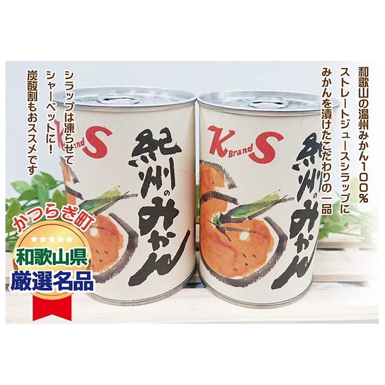 [2025年3月中旬より発送予定]紀州のみかん缶詰(みかん果汁入りシラップ)435g×12缶セット◇|柑橘 かんきつ フルーツ 果物 蜜柑 缶詰 みかん 常温保存 防災 非常食 キャンプ アウトドア 美浜町