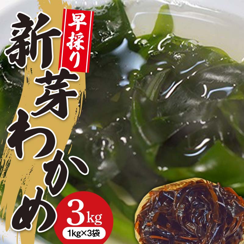 《R7年2月発送》早採りわかめ1kg×3袋【三陸山田漁協】【配送日指定不可】【沖縄・離島配送不可】 山田町 岩手県山田町 海産品 三陸産 しゃぶしゃぶ 味噌汁 酢の物 海藻 YD-788