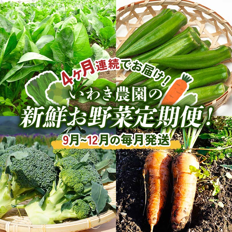 4ヶ月連続でお届け！いわき農園の新鮮お野菜定期便！【9月～12月の毎月発送】【沖縄・離島配送不可】山田町 三陸山田 農産品 農家 ほうれん草 オクラ ブロッコリー 人参 野菜定期便 YD-869