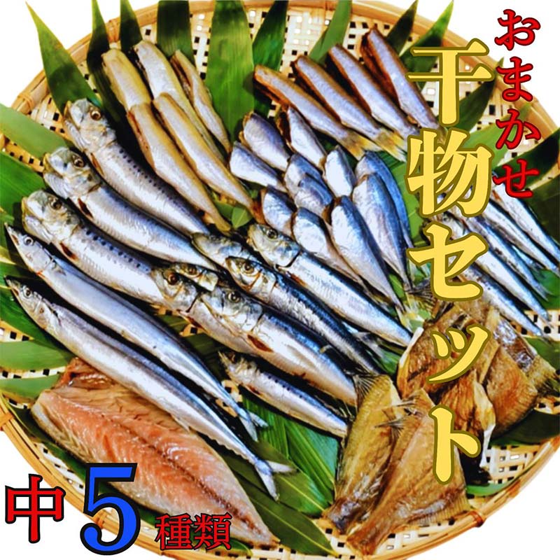 おまかせ干物セット(中)【大和水産】三陸山田 山田町 魚 魚介 干物 おかず 夕飯 詰合せ カワハギ アジ メアジ チダイ サバ イワシ サンマ タラ カレイ ムツ YD-832