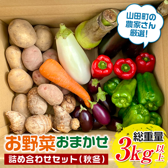 ≪先行予約 8月下旬~11月下旬発送!≫漉磯さんのお野菜おまかせ詰め合わせセット あやちゃんの野菜3kg 山田町 旬 新鮮野菜 ナス 長なす ピーマン 小茄子 にんじん 里芋 じゃがいも 里いも 親芋 キノコ YD-892