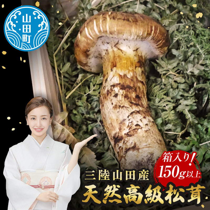 ≪2025年先行予約 9月中旬～11月上旬発送予定！≫三陸山田産 高級松茸 1本入り【ベルアクト】 秋の味覚 三陸山田産松茸 三陸山田 山田町 まつたけ マツタケ 野菜 山田産野菜 YD-895