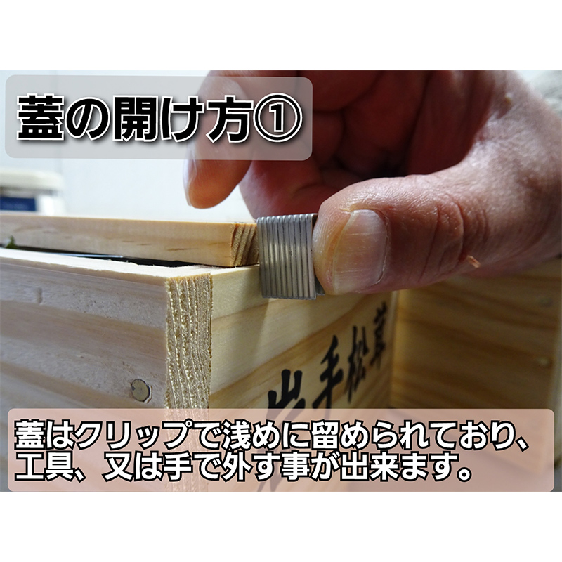 ≪2025年先行予約 9月中旬～10月下旬発送予定！≫秋の味覚 三陸
