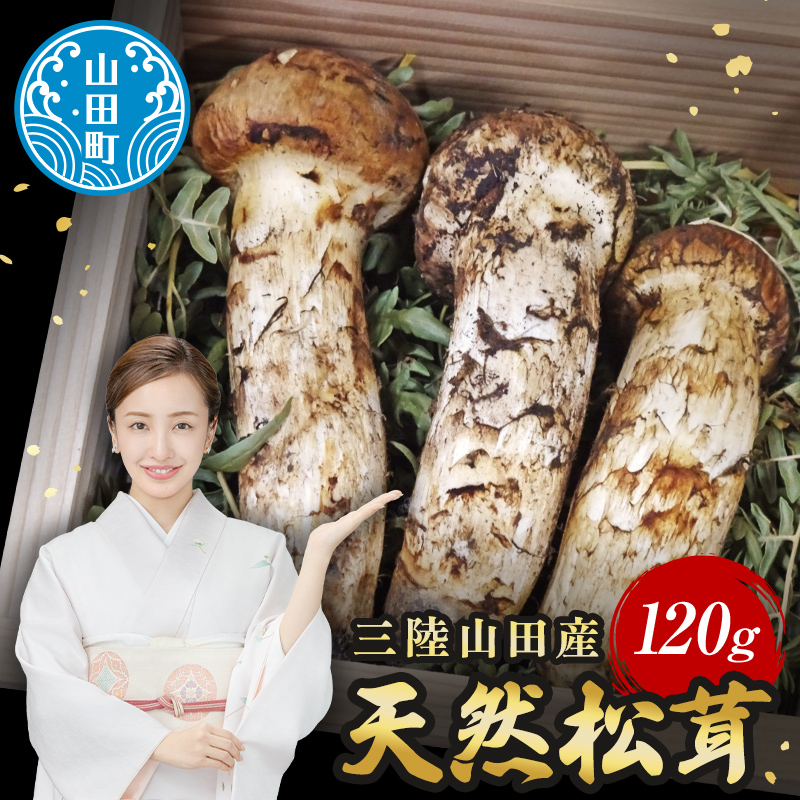 ≪2025年先行予約 9月中旬～11月上旬発送予定！≫秋の味覚 三陸山田産松茸 約120g  三陸山田 山田町 まつたけ マツタケ 野菜 山田産野菜 【ベルアクト】 YD-896