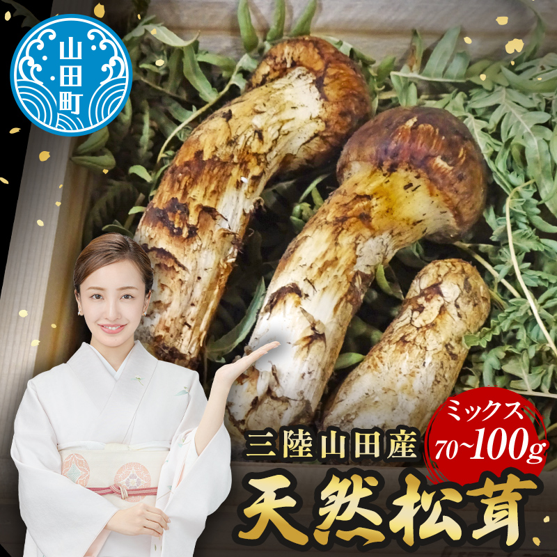 ≪2025年先行予約 9月中旬～10月下旬発送予定！≫三陸山田産松茸（ミックスサイズ） 三陸山田 山田町 まつたけ マツタケ 野菜 山田産野菜 【ベルアクト】 YD-897