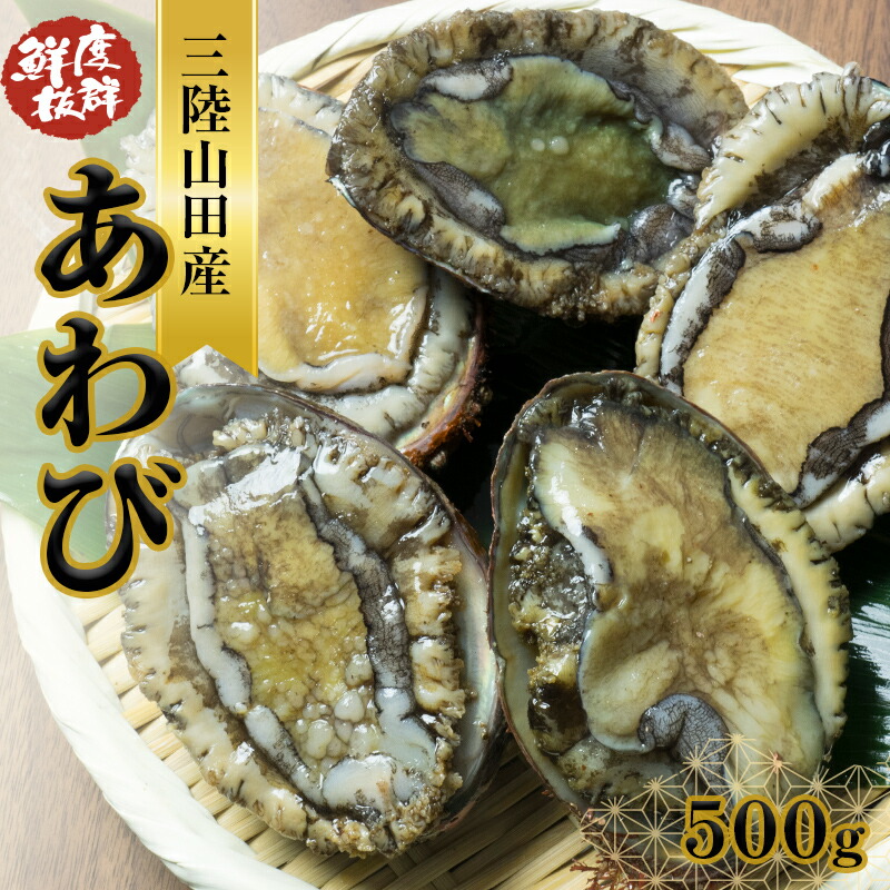 川秀の冷凍鮑 500g 三陸山田 山田町 エゾアワビ 三陸産アワビ 海産品 おつまみ 肴 アテ 海の幸 あわび アワビ 鮑 貝 魚介 海産物 食品 YD-445