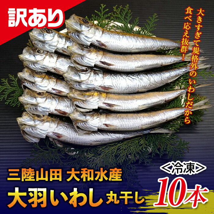 [訳あり]大和水産の大羽いわし(丸干し)10本 マイワシ まいわし イワシ いわし 鰯 おかず おつまみ 肴 アテ 海の幸 干物 魚介 海産物 食品 YD-568