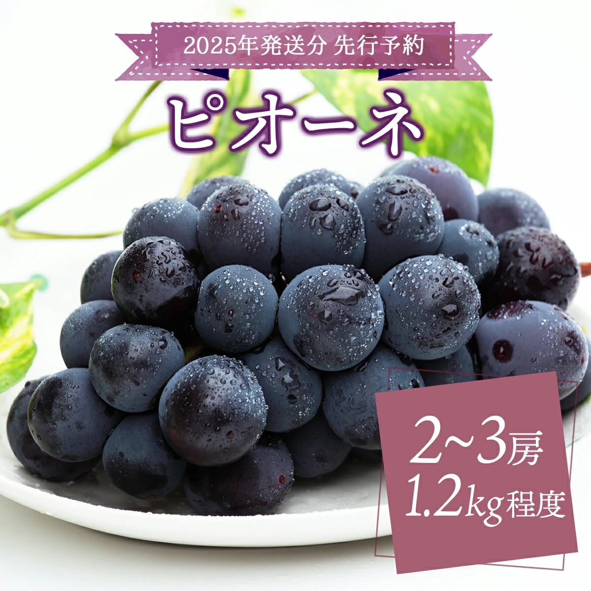 [2025年発送分 先行予約]ピオーネ 1.2kg以上(2〜3房)[025-a022]