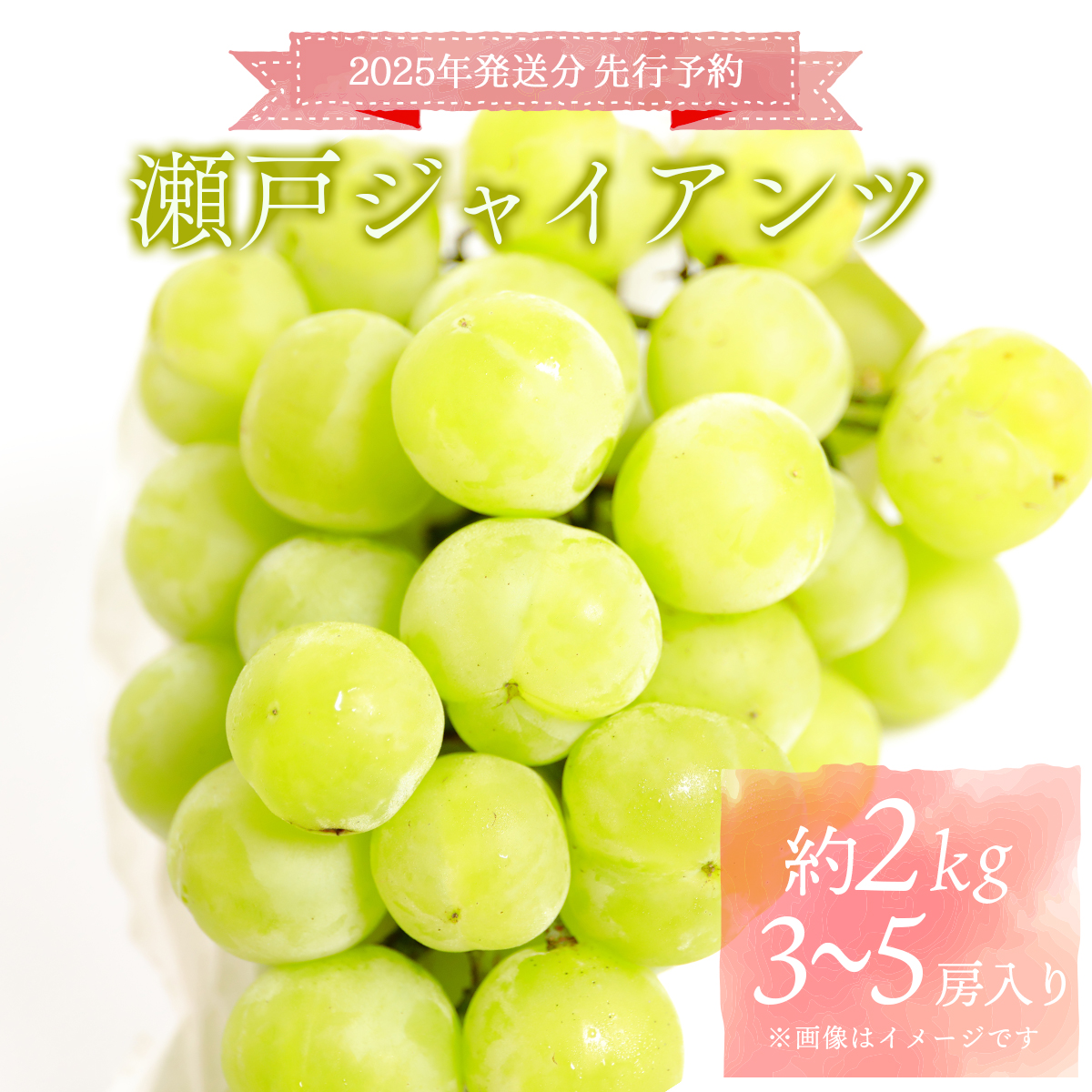 [2025年発送分 先行予約]梅村ファーム 朝摘み直送 瀬戸ジャイアンツ(3房〜5房入り 約2kg)[030-a013]
