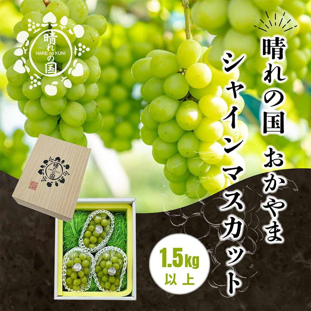 【先行予約 2025年9月上旬発送】岡山県産シャインマスカット 1.5kg(2から3房)【021-a020】