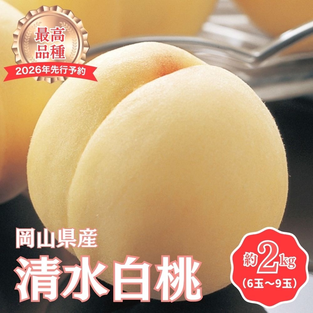 【2026年先行予約】［拝郷果樹園］岡山県産 清水白桃 約2kg（6玉～9玉）【037-a002】