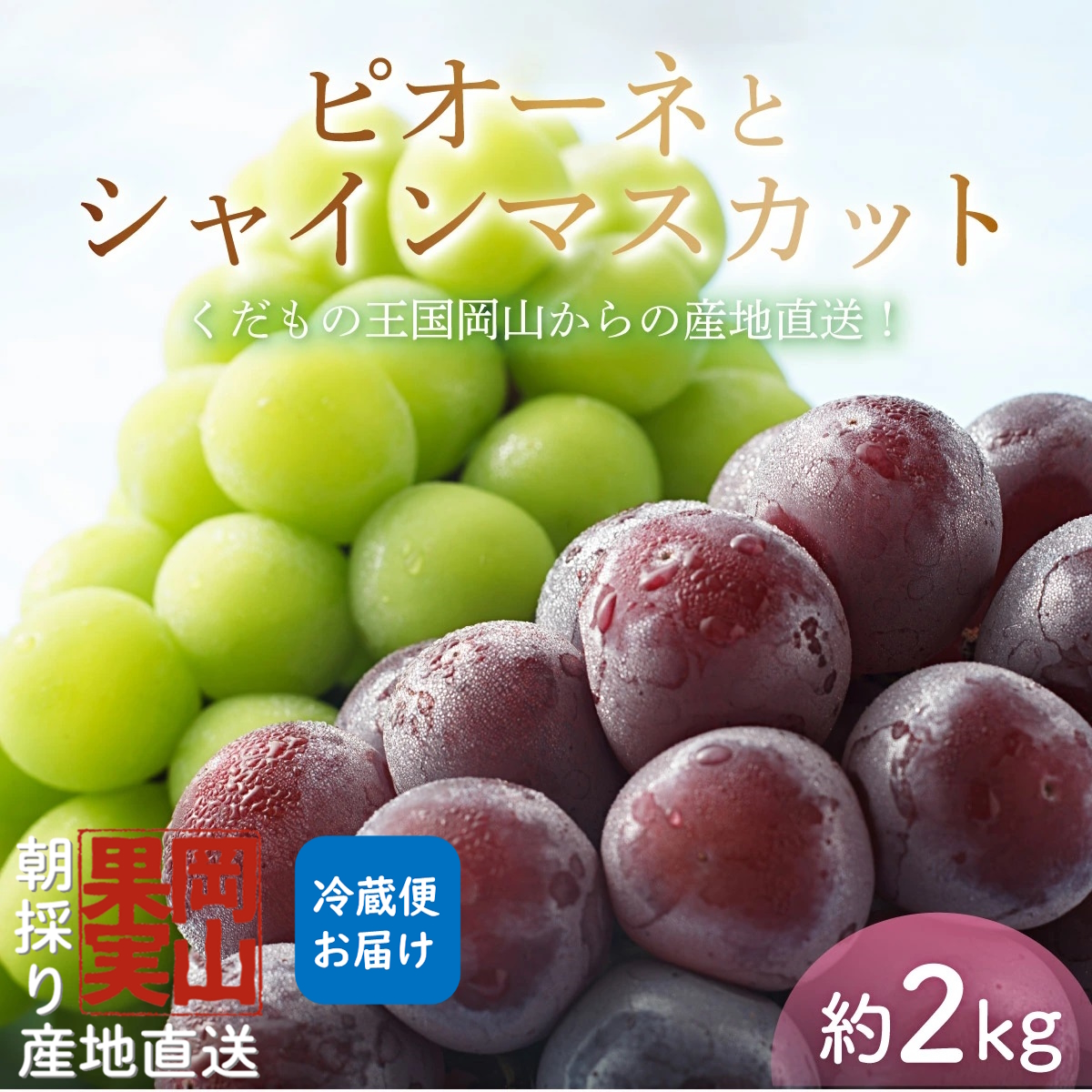 【2025年先行予約】［大原観光果樹園］ピオーネ2房とシャインマスカット2房（計4房 約2kg）【026-a018】
