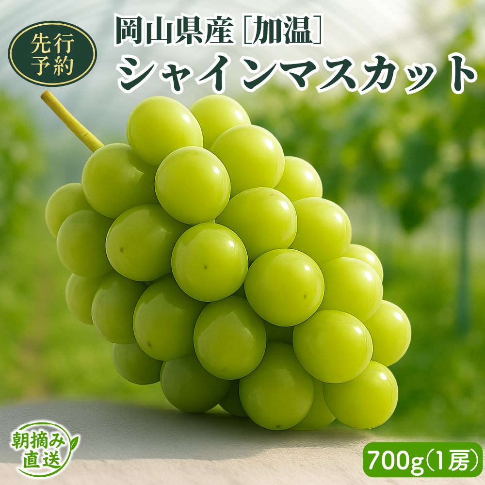 [2025年先行予約][加温]岡山県産シャインマスカット 700g(1房入)