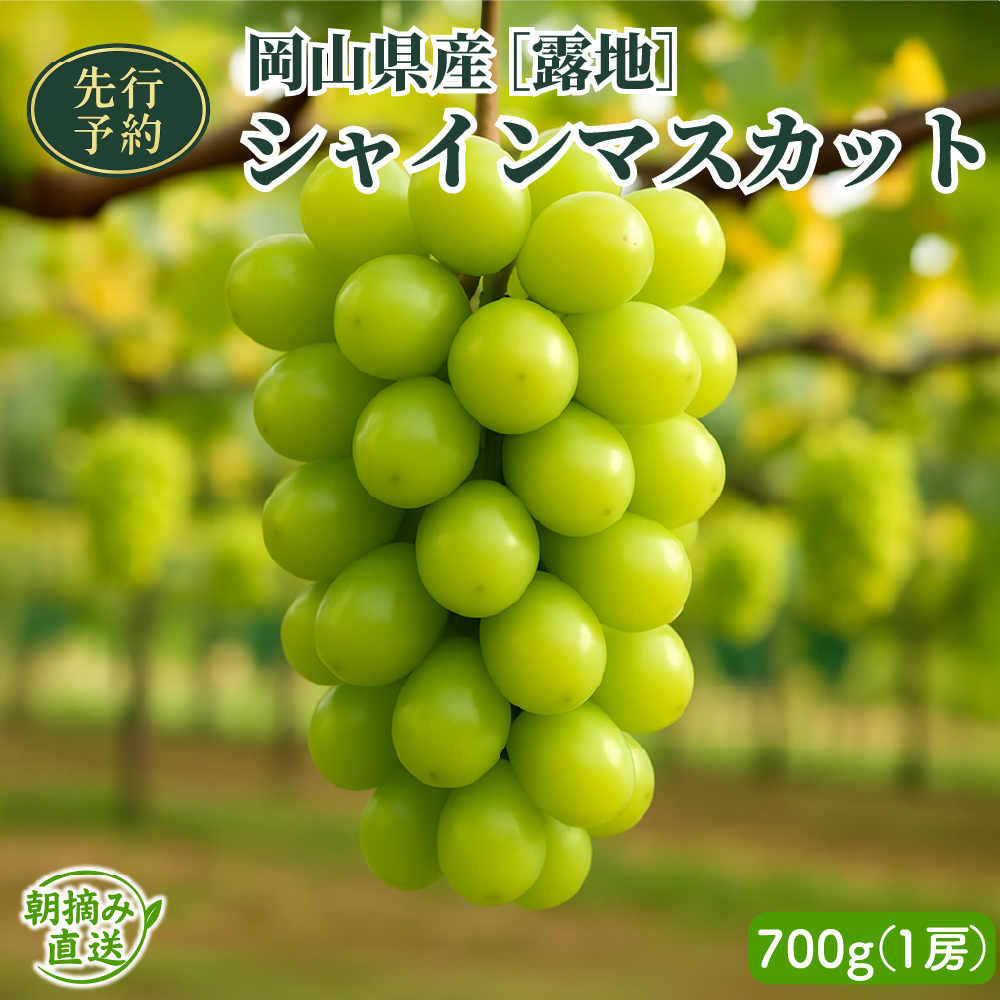 [2025年先行予約][露地]岡山県産シャインマスカット 700g(1房入)