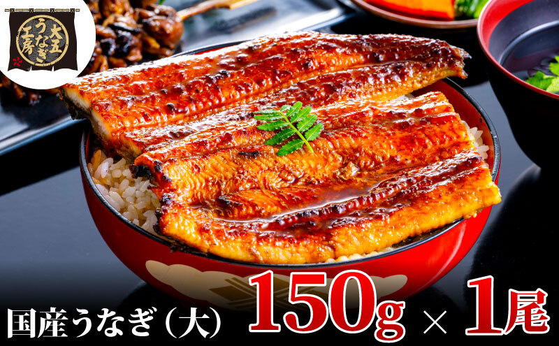 うなぎ蒲焼 150g×1尾 うなぎ ウナギ 鰻 蒲焼 蒲焼き冷凍 国産 大五 大五通商 静岡 島田市