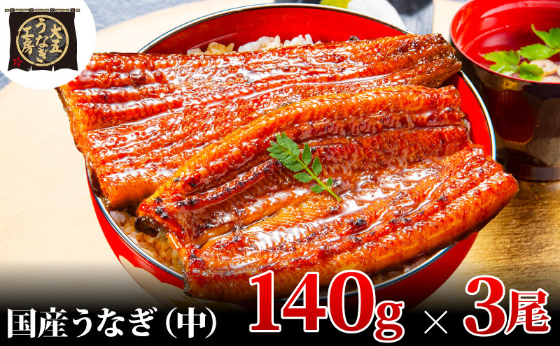 うなぎ蒲焼 140g×3尾(420g) うなぎ ウナギ 鰻 蒲焼 蒲焼き冷凍 国産 大五 大五通商 静岡 島田市