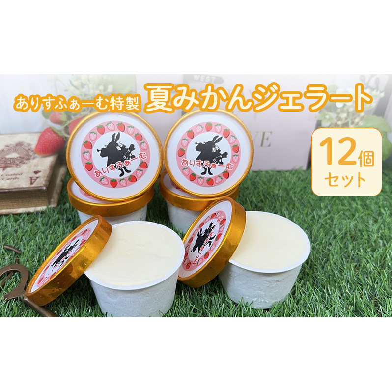 みかん ジェラート セット 静岡 ありすふぁーむ 夏みかんジェラート 12個セット 夏みかん 冷凍【島田市】