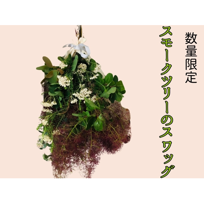 花 ＜数量限定＞ スモークツリーのスワッグ【4月下旬より順次発送】 生花 ドライフラワー スワッグ ハンドメイド プレゼント ※配送不可:離島