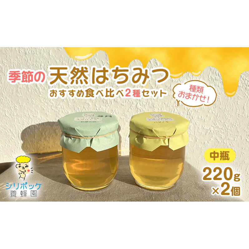 種類おまかせ！季節の天然はちみつ おすすめ食べ比べ2種セット（中瓶220g×2個）ハチミツ 蜂蜜 セット 島田市 静岡県