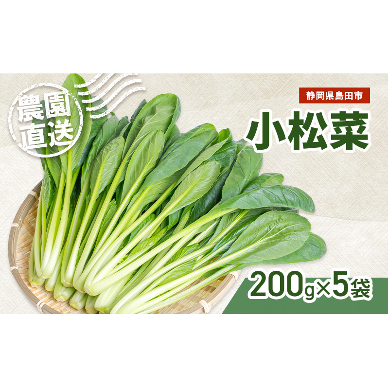静岡県島田市産 小松菜200g×5袋　野菜 やさい こまつな 旬 国産 産地直送 詰合せ 静岡県 島田市
