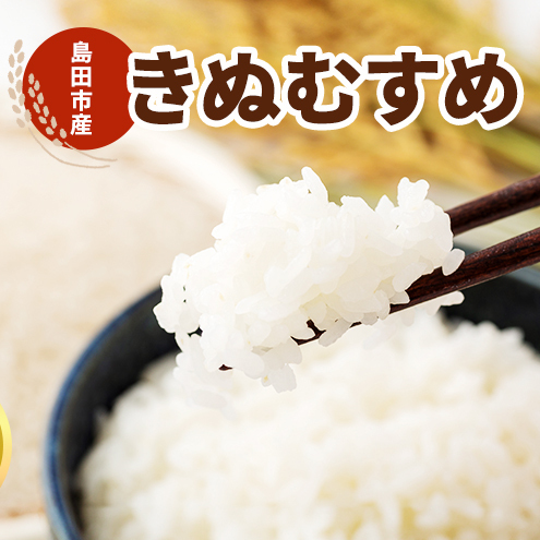 お米 10kg(きぬむすめ) 米 コメ 精米 白米 ご飯 静岡県 島田市 ※配送不可:北海道、沖縄、離島