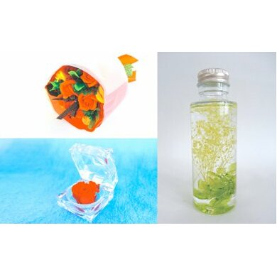 定期お届け　3回MS　３ヶ月連続お届け