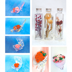 定期お届け　10回XLS　１０ヶ月連続お届け