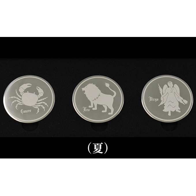 コイン型のアイスキューブ（夏） 雑貨 日用品 アイスコイン 氷 ステンレス 化粧箱 