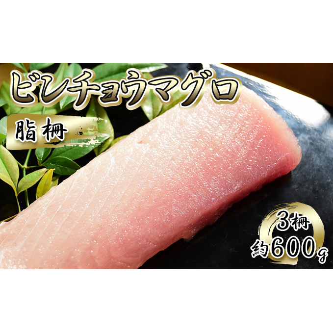 ビンチョウマグロ 脂柵 3柵(約600g)【配送不可:離島】 魚貝類 魚 刺身用 刺身用柵 つまみ 肴 お酒のあて 刺身 手巻き寿司 寿司 具材 後味の良い脂
