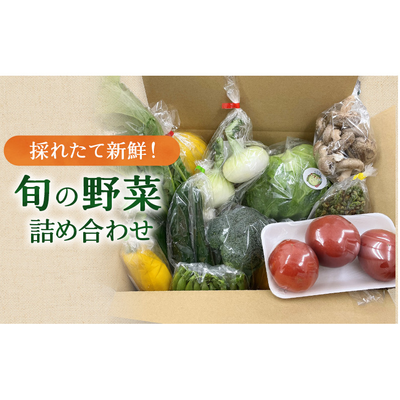 新鮮獲れたて！ まんさいかん島田 季節の野菜詰め合わせ セット 　 野菜セット 旬の野菜 旬 野菜詰め合わせ 野菜詰め合わせセット 産地直送 静岡 島田市