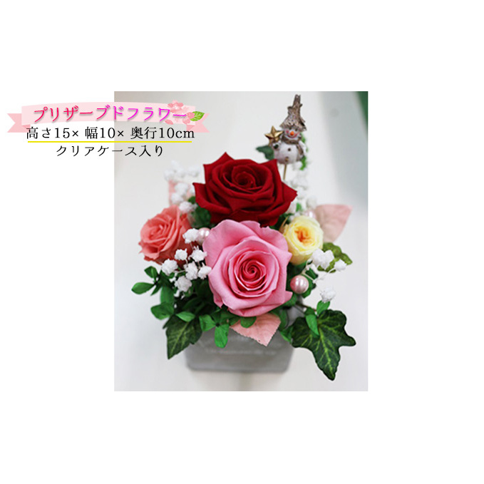 薔薇のアレンジメント(夏S) 植物 バラ お花 