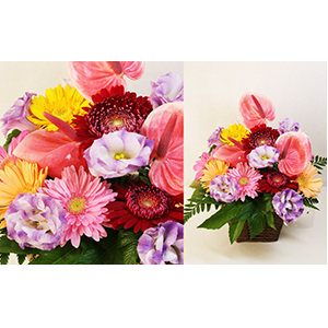 季節の花のアレンジメント(夏M) 植物 お花 