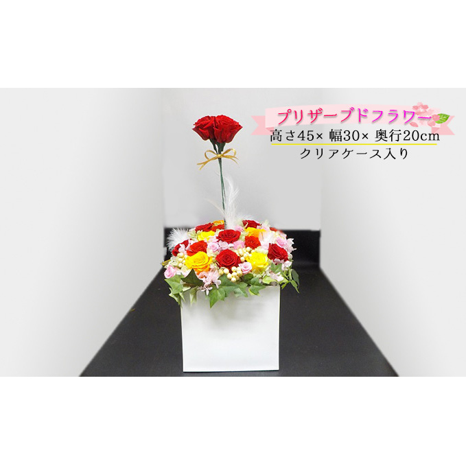 薔薇のアレンジメント(夏XL) 植物 バラ お花 