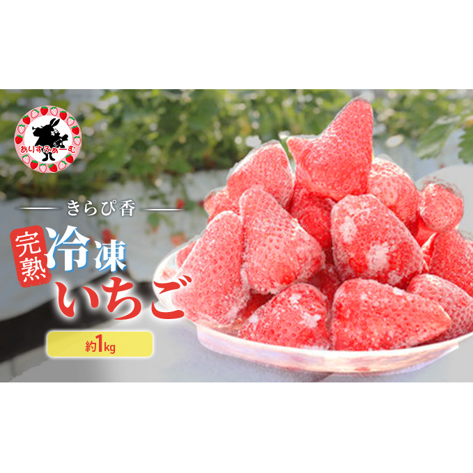 いちご 冷凍 静岡 ありすふぁーむ 渡瀬の「きらぴ香」完熟冷凍いちご 約1kg 苺 イチゴ 【島田市】