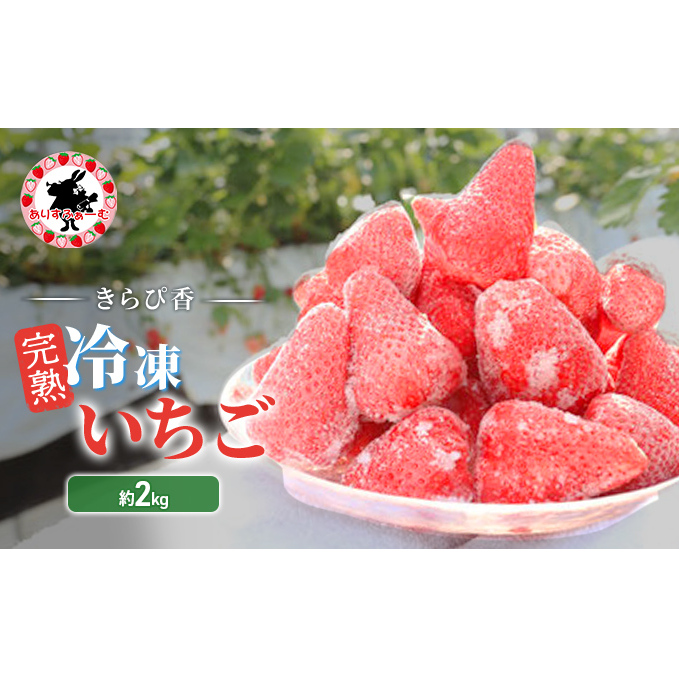いちご 冷凍 静岡 ありすふぁーむ 渡瀬の「きらぴ香」完熟冷凍いちご 約2kg 苺 イチゴ 【島田市】