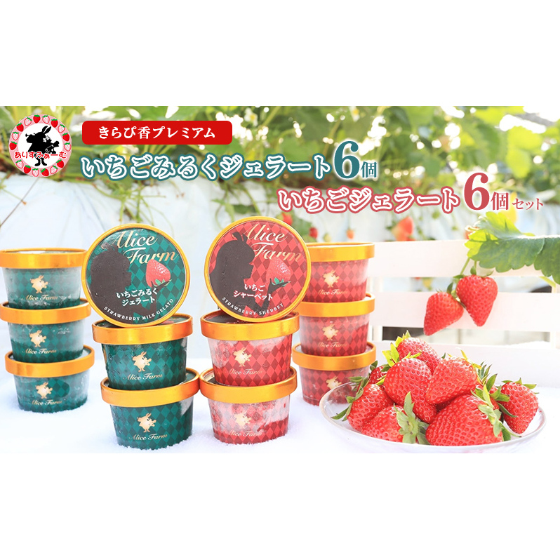 いちご ジェラート セット 静岡 ありすふぁーむ 渡瀬の「きらぴ香プレミアムいちごみるくジェラート・いちごジェラート」 12個セット イチゴ 苺 【島田市】