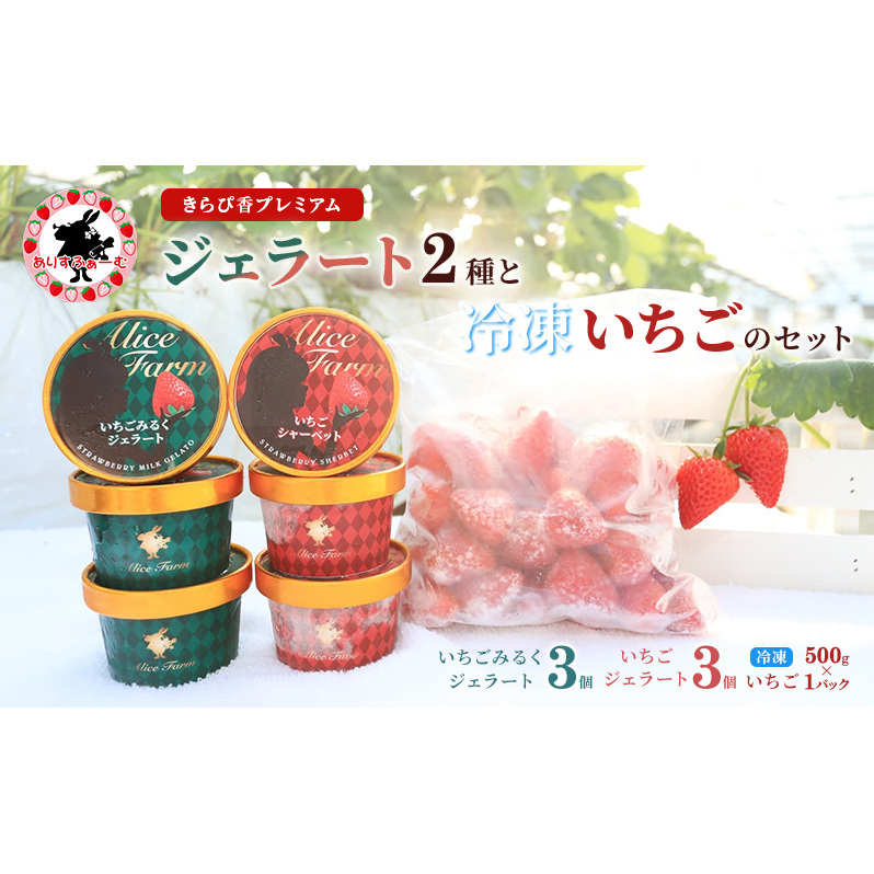 いちご 冷凍 ジェラート セット 静岡 ありすふぁーむ 渡瀬の「きらぴ香プレミアムいちごみるくジェラート・いちごジェラート」 6個セット & 冷凍いちご500g イチゴ 苺 【島田市】