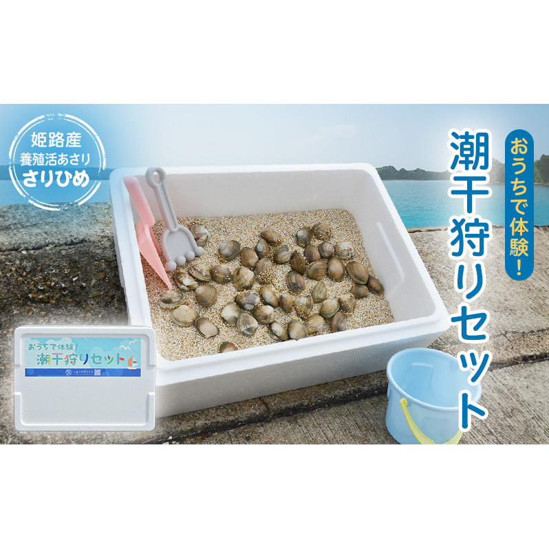 【さりひめ】姫路産 完全国産養殖活あさり おうちで体験!潮干狩りセット 料理レシピ付き 国産 あさり アサリ 養殖 兵庫県
