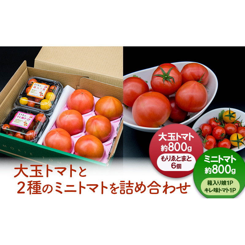 【11月中旬以降順次出荷】ミニセット（もりゑ＆ミニ2種）[ 大玉 とまと ミニ トマト 高糖度 産地直送 野菜 ]