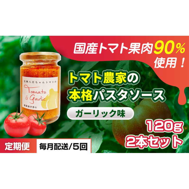 【定期便・全5回】トマト農家の本格パスタソース ガーリック味 120g 2本セット × 5回｜国産 姫路市産 完熟八百ちゃんトマト 万能調味料