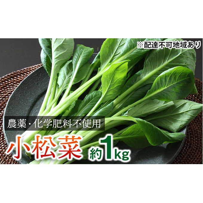 栽培期間中農薬化学肥料不使用の小松菜詰め合わせ 約1kg(100g×10袋) 野菜 スムージーに