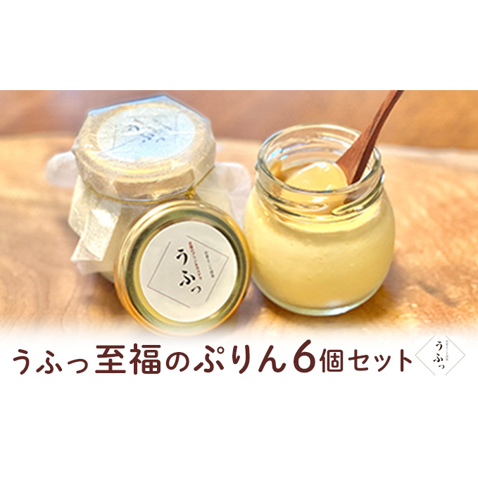 「うふっ」至福のぷりん6個セット お菓子 スイーツ おやつ デザート 洋菓子 生菓子 こだわり素材 日本一こだわり卵 きび砂糖 上品な甘さ カラメルホイップ