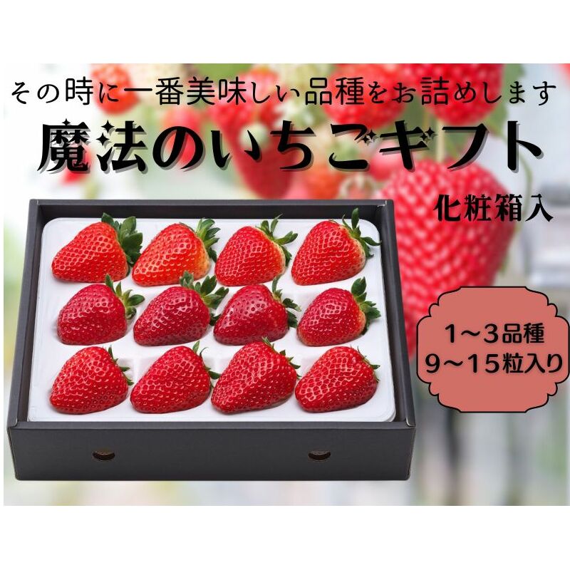 【12月上旬から順次出荷】魔法のいちごギフト化粧箱入り 果物 フルーツ デザート かおり野 かんな姫 おいCベリー よつぼし 紅ほっぺ ほしうらら スターナイト