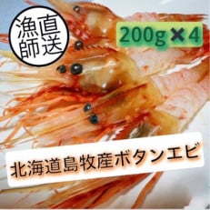 ぷりぷりボタンエビ　北海道日本海ボタンエビ【200g×4】【配送不可地域：離島】【1455492】