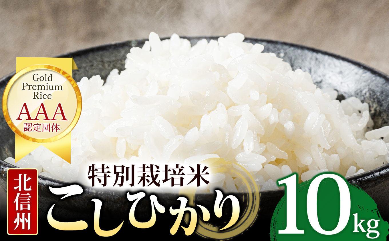 木島平産 コシヒカリ 約10kg | 米 白米 精米 特別栽培米 コシヒカリ こしひかり お米 おこめ 減農薬 長野県 木島平村 信州 |  長野県木島平村 | JRE MALLふるさと納税