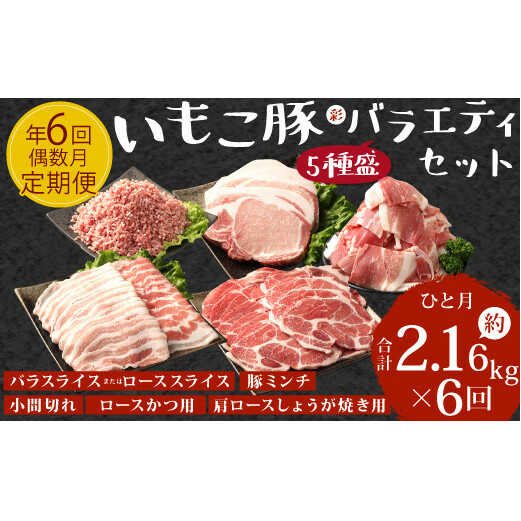 [訳あり]豚肉[定期便年6回/偶数月発送]いもこ豚(彩) 5種盛り バラエティセット 2.16kg バラスライス バラ 小間切れ 細切れ こま切れ ロース 肩ロース しゃぶしゃぶ スライス 豚ミンチ 豚肉 いもこ豚 セット 詰合せ 生姜焼き 焼肉 サムギョプサル ポッサム 豚丼 とんかつ 鉄板 ホットプレート パーティー 冷凍 宮崎県産 九州産 送料無料