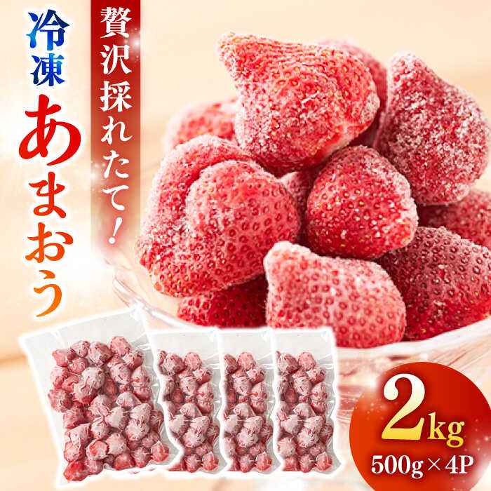 【農家直送！】 冷凍あまおう 2kg（500g×4パック）いちご 苺 糸島市 / みのりのりん [ABD007]