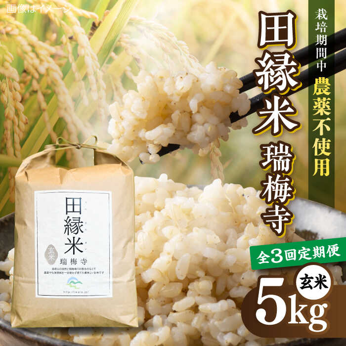 【全3回定期便】 田縁米(でんえんまい)・瑞梅寺(ずいばいじ) 玄米 5kg 糸島市 / NPO法人田縁プロジェクト 米 玄米 定期便 [ATM008] 米 玄米 天日干し 栽培期間中 農薬不使用 ヒノヒカリ
