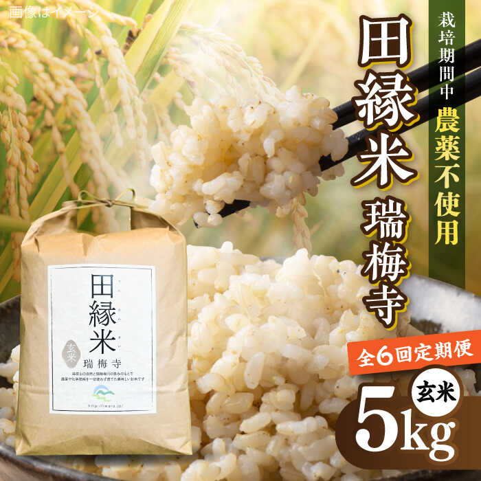 【全6回定期便】 田縁米(でんえんまい)・瑞梅寺(ずいばいじ) 玄米 5kg 糸島市 / NPO法人田縁プロジェクト 米 玄米 定期便 [ATM009] 米 玄米 天日干し 栽培期間中 農薬不使用 ヒノヒカリ